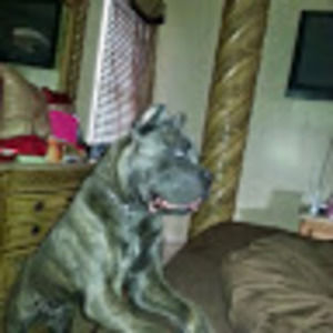 Meet your Posher, Markesia